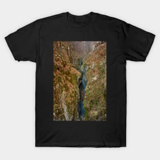 Gorge and a river in the mountains T-Shirt